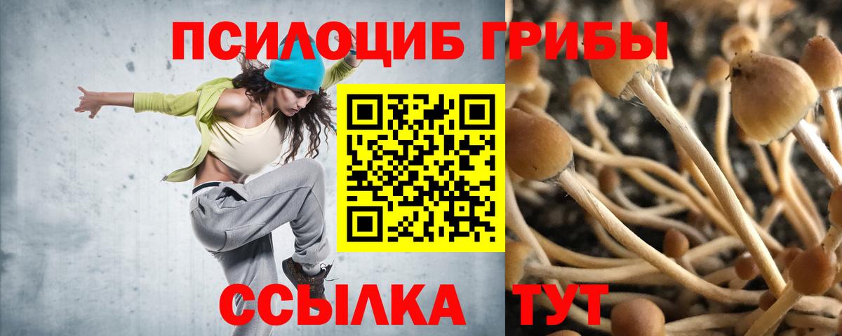Псилоцибиновые грибы GOLDEN TEACHER Ялуторовск
